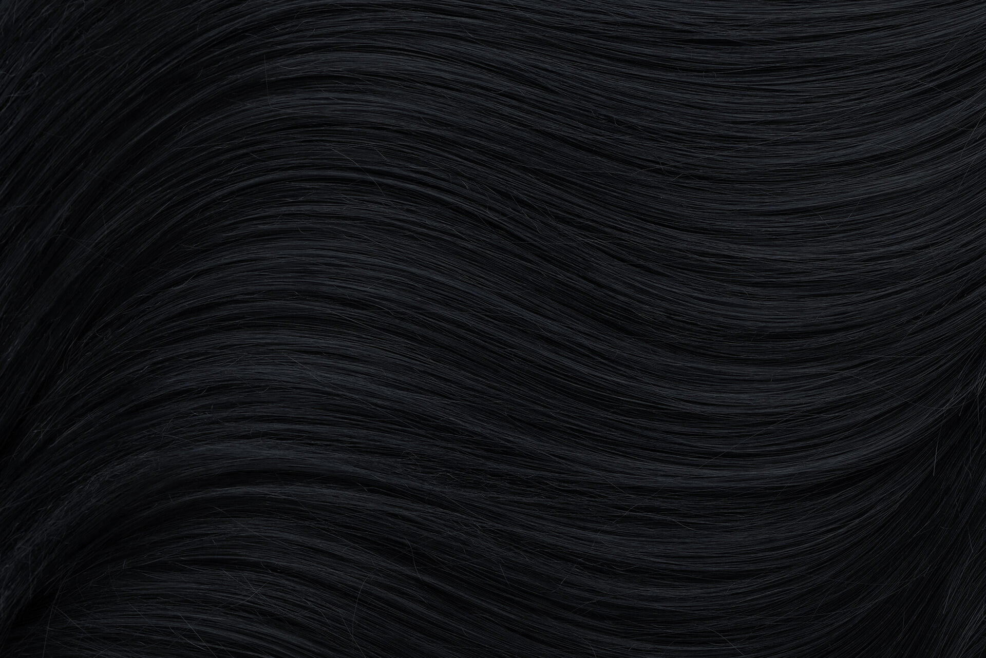 Cheveux d'une femme, couleur noir.