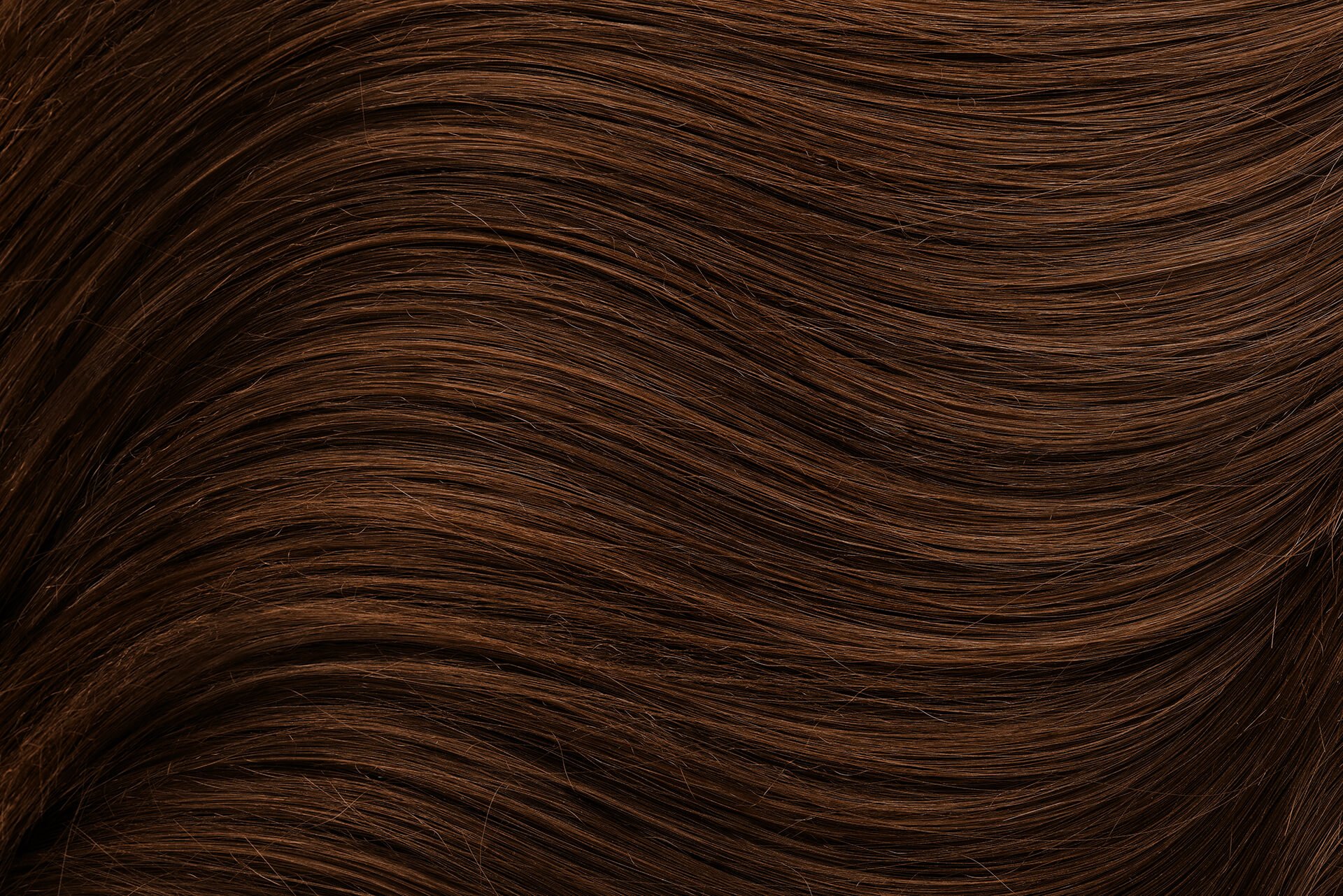 Cheveux d'une femme, couleur châtain dore.